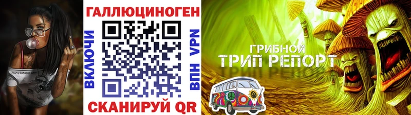 где найти Чехов Псилоцибиновые грибы мухоморы